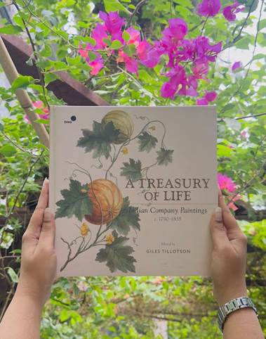 A Treasury of Life: Read Where Indian Artists and Empire Collide on Canvas