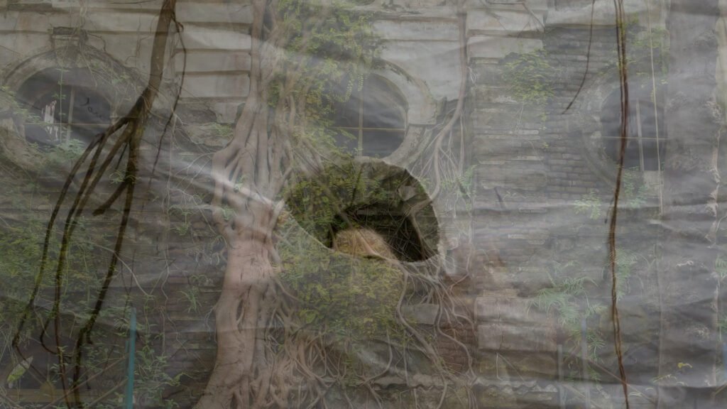 Image Credit: Still from Ends in Architecture via Himil Ramani 