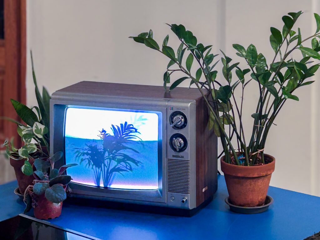 Interrogating Plants Installation, Courtesy- Himil R