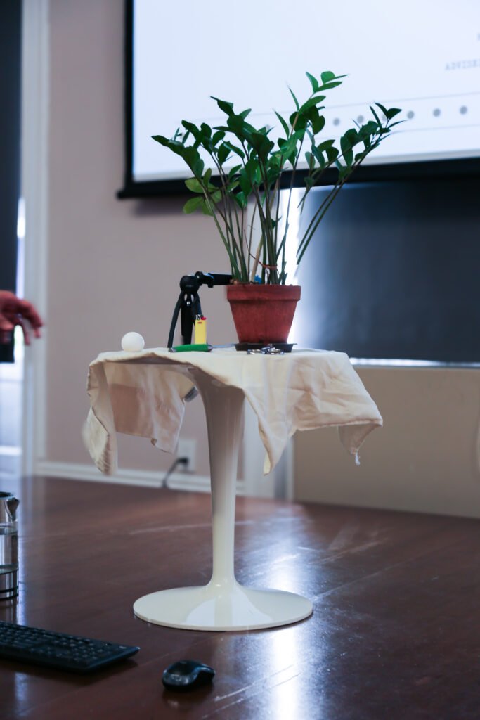 Interrogating Plants, Performance; Image courtesy- Himil Ramani